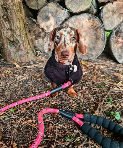 Dog Rope Lead With Reflective Stitching and Padded Handle