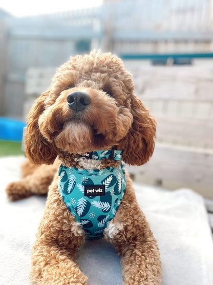 Harness - 3 Patterns Available