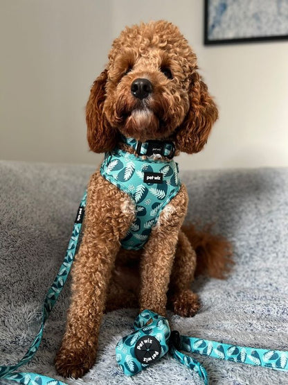 Harness - 3 Patterns Available