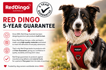 Red Dingo Padded Harness