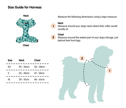 Harness - 3 Patterns Available