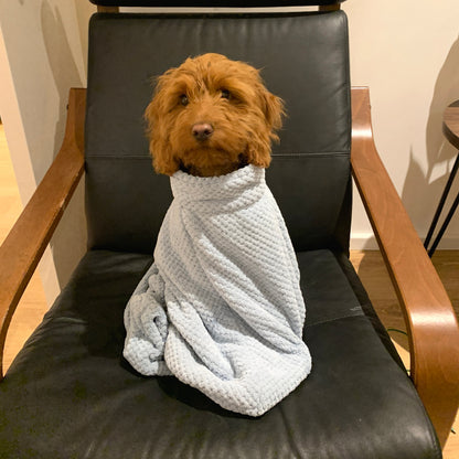 Super Absorbent Microfibre Dog Drying Bag