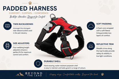 Red Dingo Padded Harness
