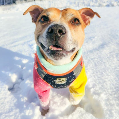 Waterproof Dog Fleece: Multi Colour