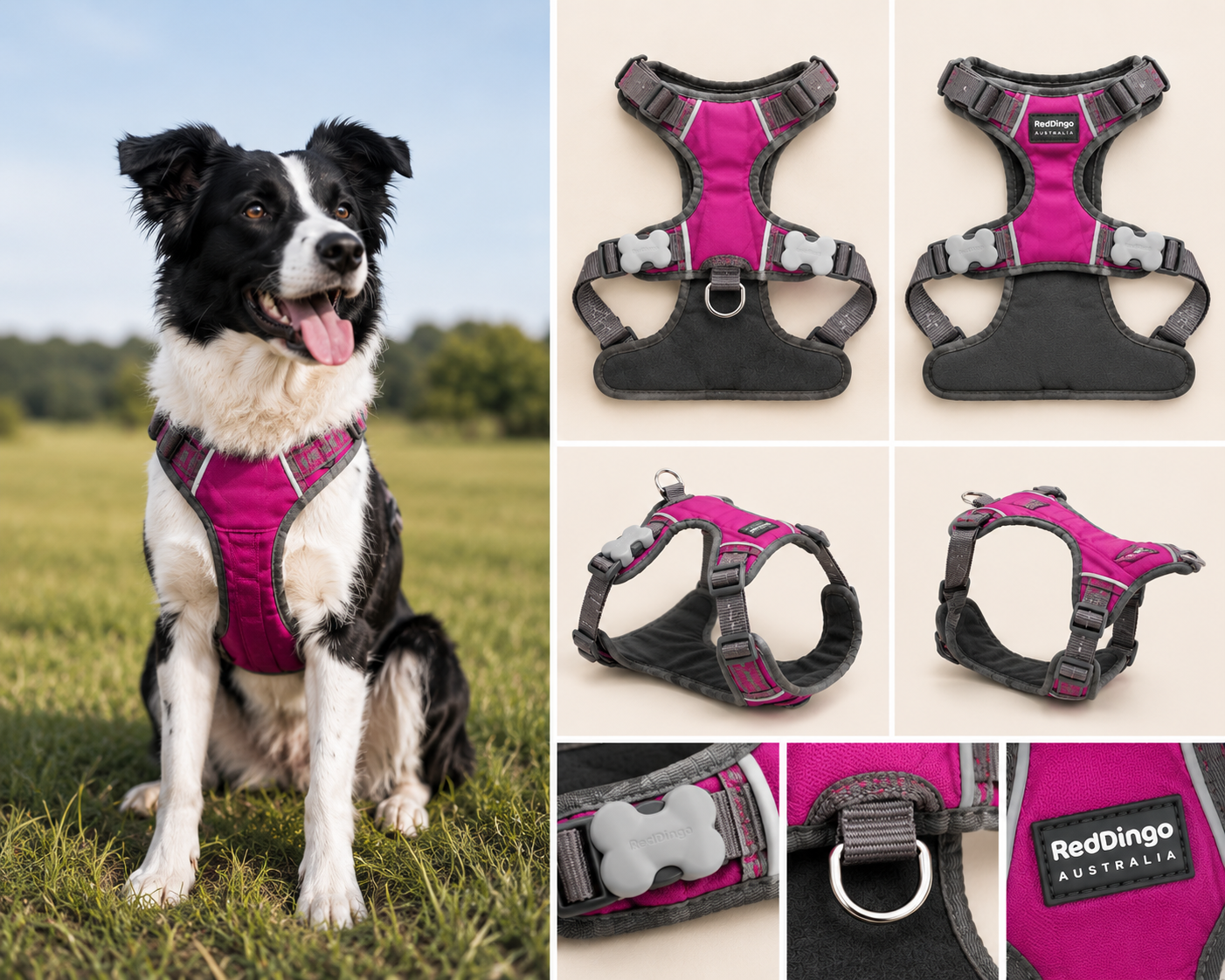 Red Dingo Padded Harness