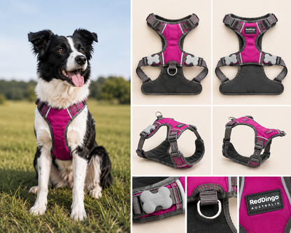 Red Dingo Padded Harness